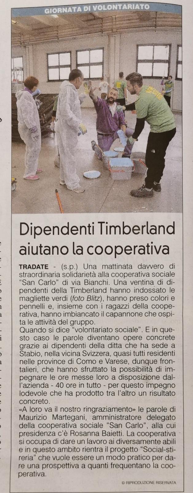 Timberland Cooperative Tradate