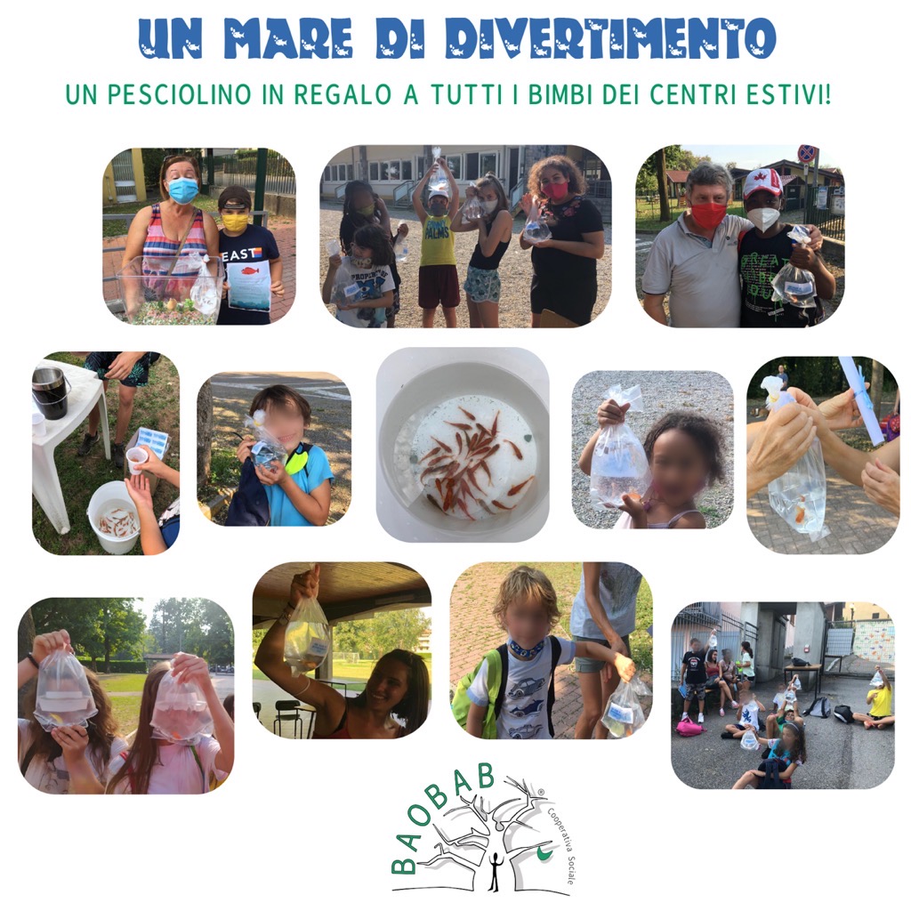 centro estivo 2020